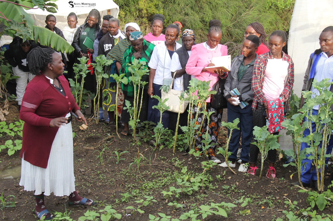 Community Training Workshop