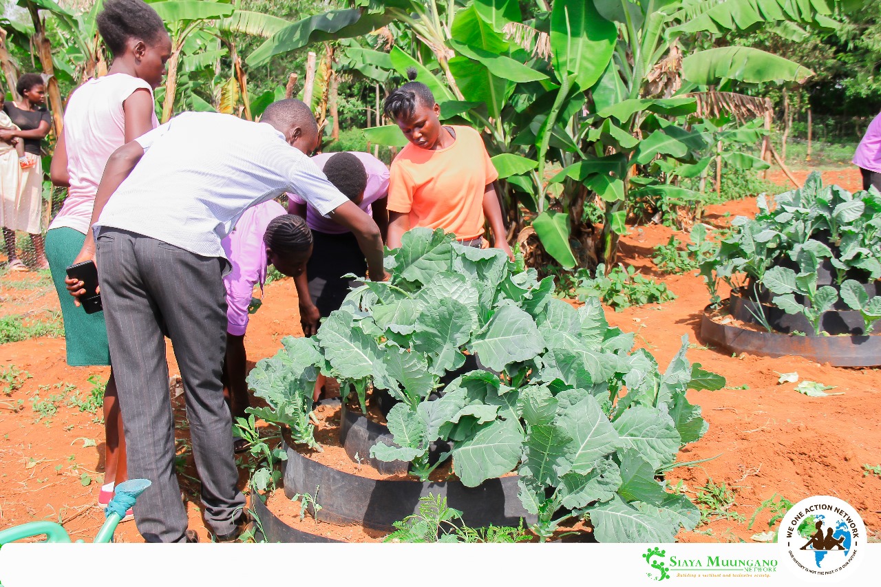 Environmental conservation activities